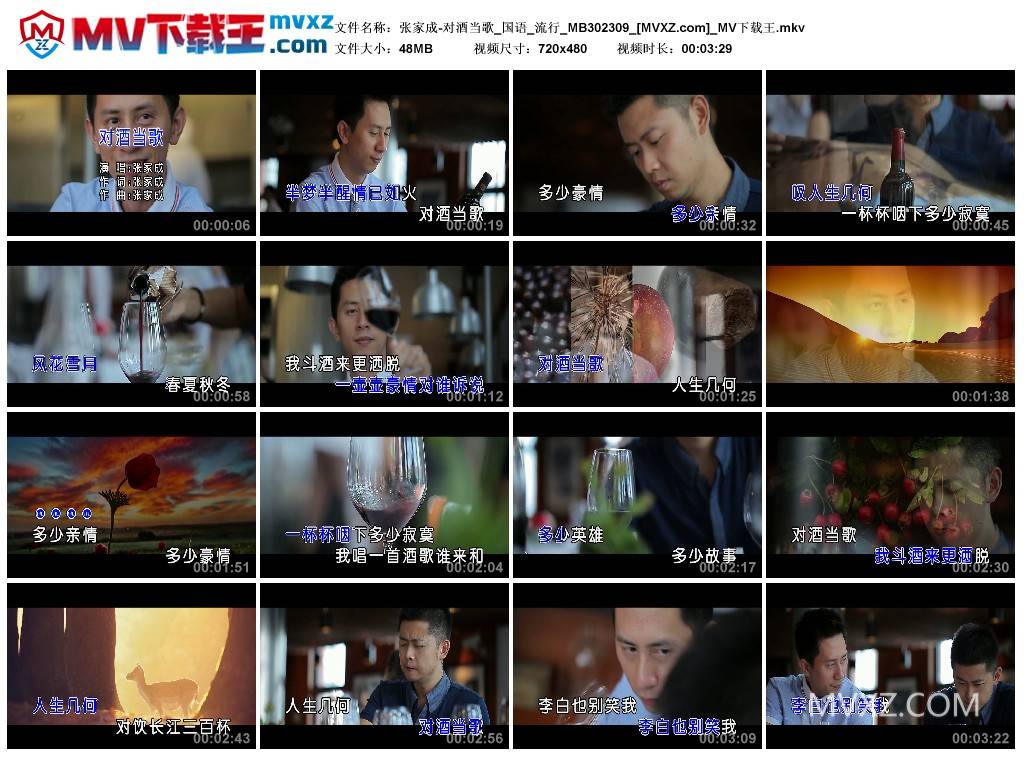 张家成-对酒当歌_国语_流行_MB302309